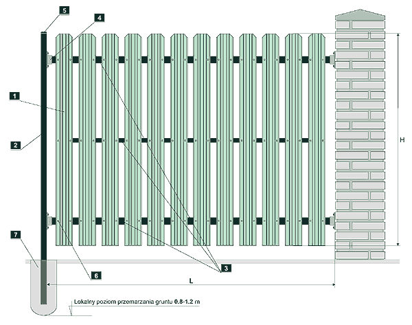 palisadowe