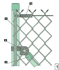 palisadowe